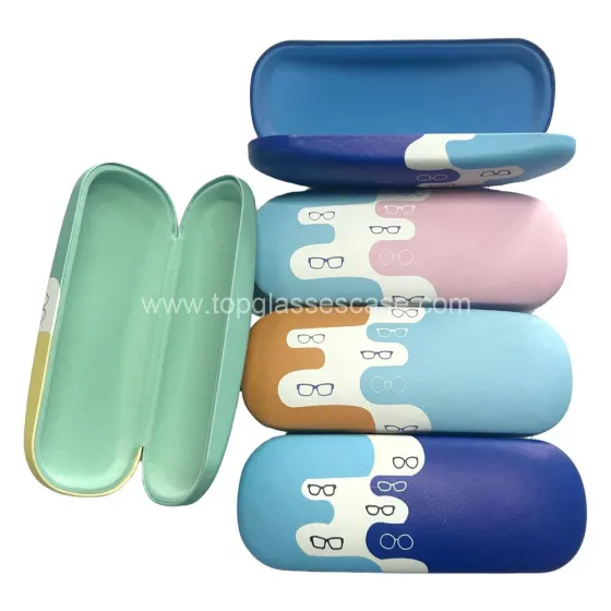 Metal Glasses Case1