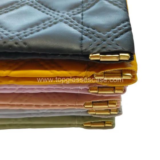 Glasses Pouch1