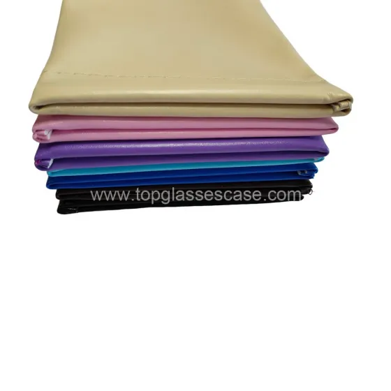 Glasses Pouch5
