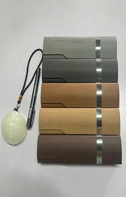 Spectacle Case